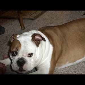 Meet your Posher, Angie